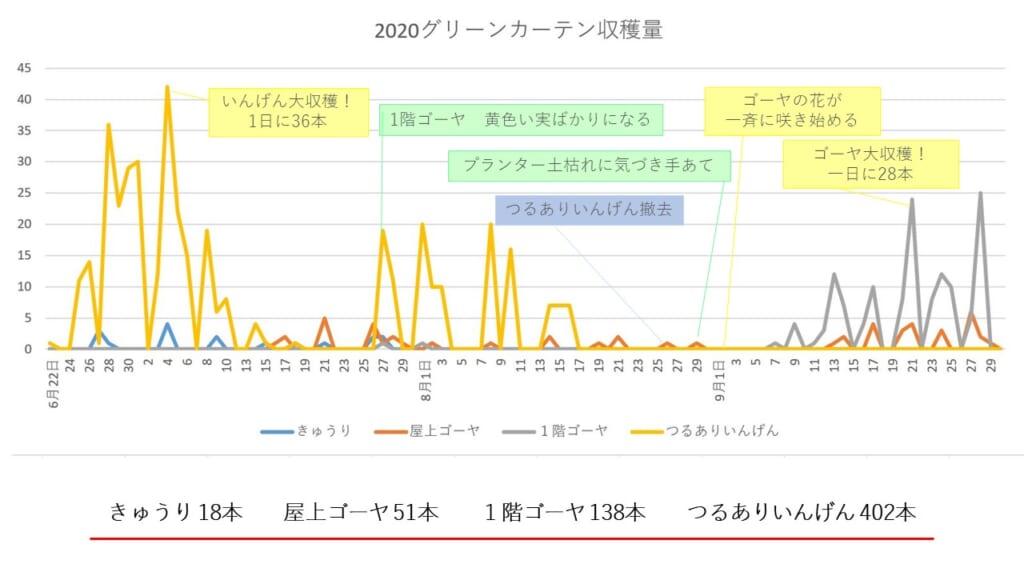 グリーンカーテン２０２０ ３２片付け 収穫報告 板橋区立リサイクルプラザ