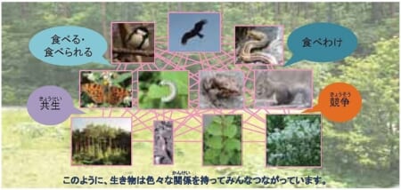 【6／5～27】パネル展「生物多様性って、なに？」