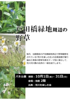 【10/1～31】パネル展<br>「荒川戸田橋緑地周辺の野草写真展」