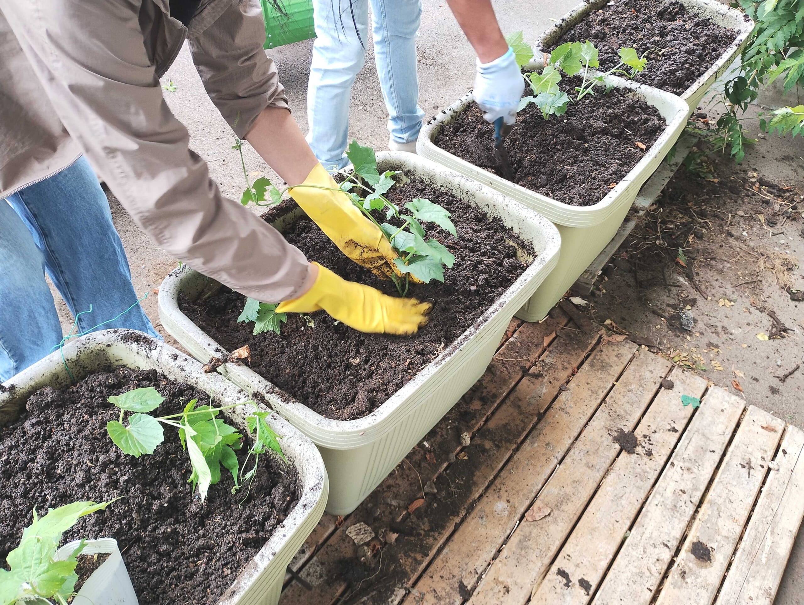 軽整備済み 家庭菜園に クボタTMB200 断捨離