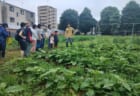 コミュニティコンポスト第五期2025#3「TheHasuneFarmツアー」