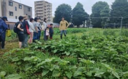 コミュニティコンポスト第五期2025#3「TheHasuneFarmツアー」