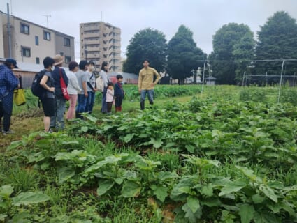 コミュニティコンポスト第五期2025#3「TheHasuneFarmツアー」