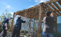 コミュニティコンポスト第五期2025#6「ゴーヤとへちまのつるの撤去＆プランター土づくり」