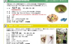 いたぷらニュース2025/12月号