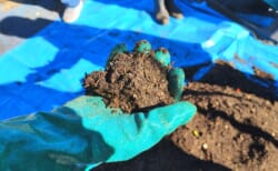 コミュニティコンポスト第五期2025#7「コンポストをたい肥として使うときに大切な「熟成作業」の体験」