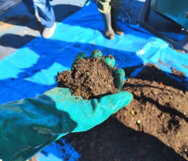 コミュニティコンポスト第五期2025#7「コンポストをたい肥として使うときに大切な「熟成作業」の体験」