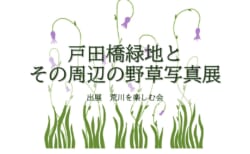 【3/2～31】パネル展<br>「荒川戸田橋緑地周辺の野草写真展」