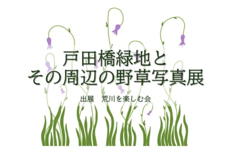 【3/2～31】パネル展<br>「荒川戸田橋緑地周辺の野草写真展」