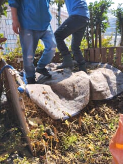 コミュニティコンポスト第五期2025#9「腐葉土仕込み、土づくりとじゃがいも植え付け」