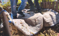 コミュニティコンポスト第五期2025#9「腐葉土仕込み、土づくりとじゃがいも植え付け」