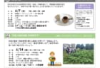 いたぷらニュース2026/6月号