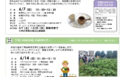 いたぷらニュース2026/6月号