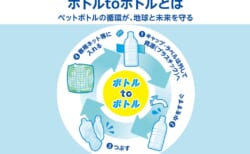 【6/1～30】パネル展「ボトルtoボトル」