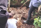 コミュニティコンポスト2026第六期#4「グリーンカーテン撤去＆秋植え野菜のコツをプロに教わろう！」