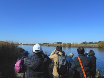 【12月6日(日)】荒川生物生態園の冬鳥観察会