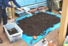 コミュニティコンポスト2026第六期#4「グリーンカーテン撤去＆秋植え野菜のコツをプロに教わろう！」