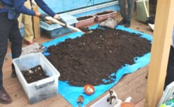 コミュニティコンポスト2026第六期#4「グリーンカーテン撤去＆秋植え野菜のコツをプロに教わろう！」